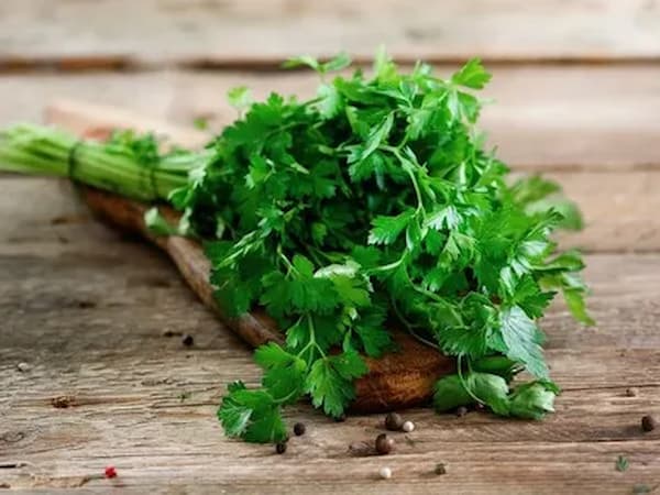 تصویر 5 از فروش سبزی جعفری تازه + قیمت خرید به صرفه